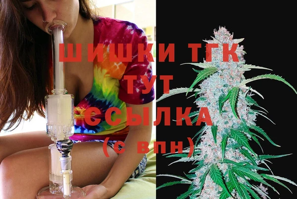 хмурый Горно-Алтайск