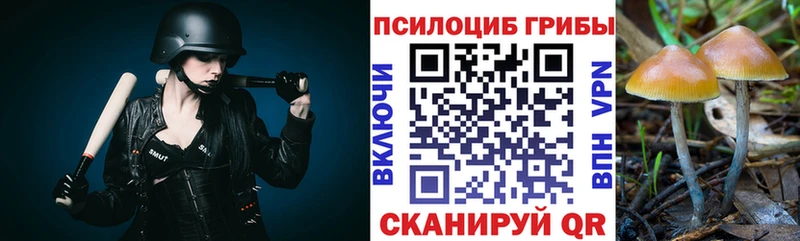 Купить закладки  Лакинск  Галлюциногенные грибы мицелий 